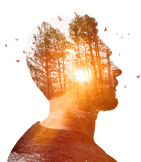 Forest sunrise masked in a silhouette of a man